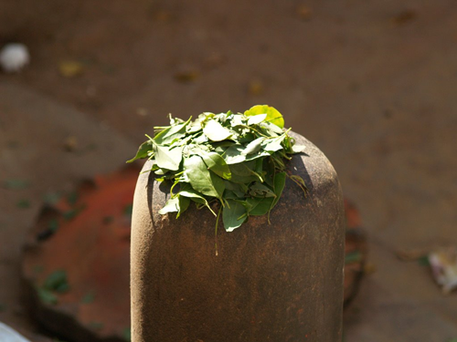 Bilvashtottara Shatanamastotram is a highly powerful stotram Dedicated to Lord Siva Namavali